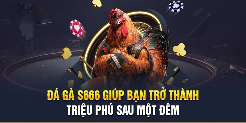 Những hình thức chơi Đá Gà S66 phổ biến